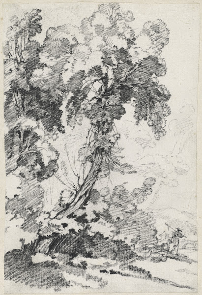 A Towering Tree with Travelers 1746 1749