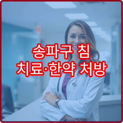송파구 침 치료·한약 처방 가능한 한방 병원 진료 정보