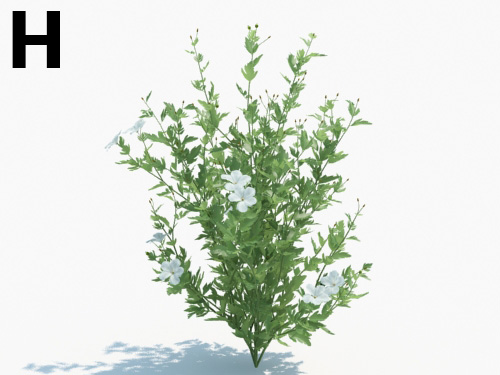Maxtree - Plant Models Vol.3