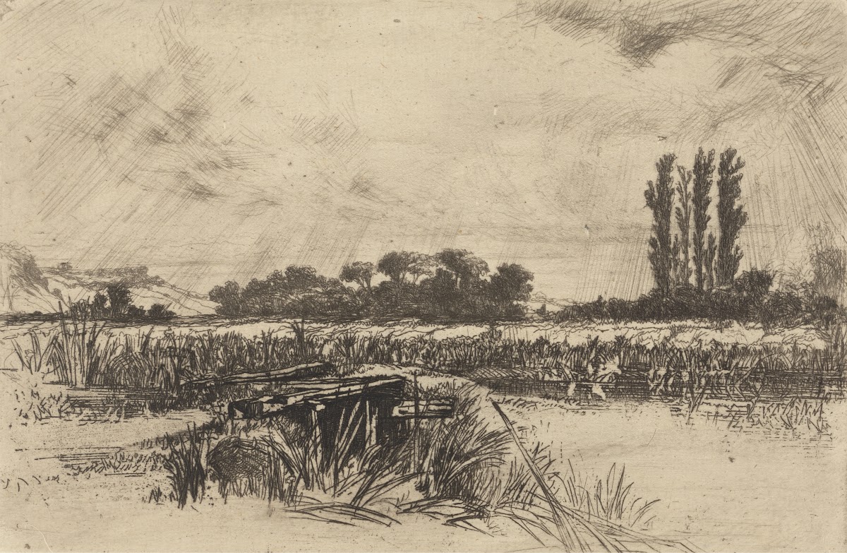 A Water Meadow 1859