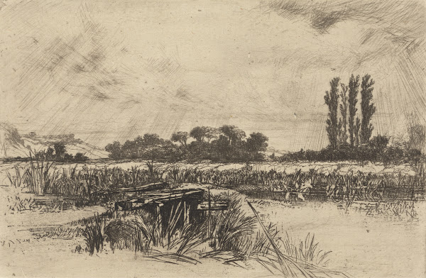 A Water Meadow 1859