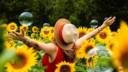 Sunflower And Beauty Flower 2K iPhone Wallpaper Background