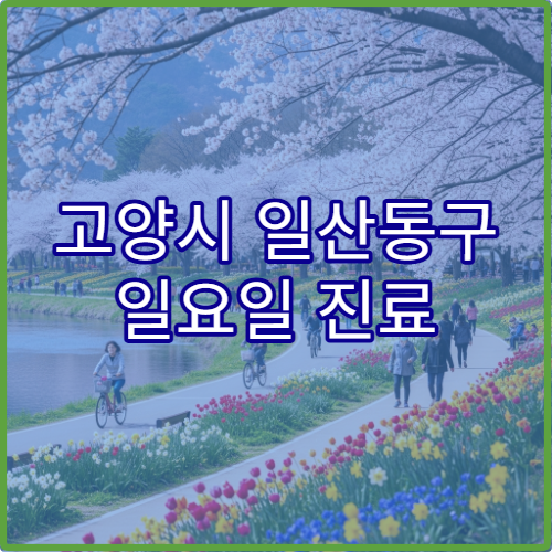 고양시 일산동구 일요일 진료 비뇨의학과 병원 배뇨 장애·요로 질환 상담 가능