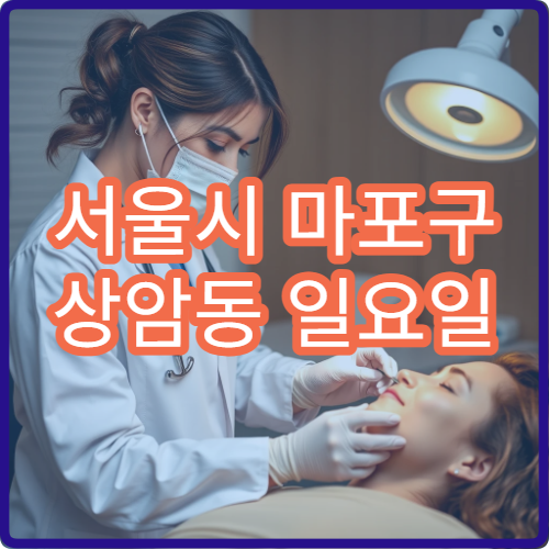 서울시 마포구 상암동 일요일 피부과 여드름 염증 진료
