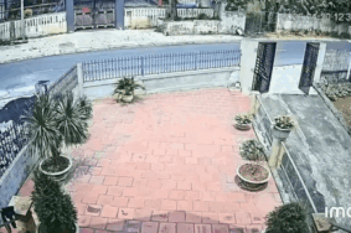 Thấy sân bất ngờ đầy chất bẩn, chủ nhà check camera liền thấy cảnh đáng sợ - Tạp chí SaoStar