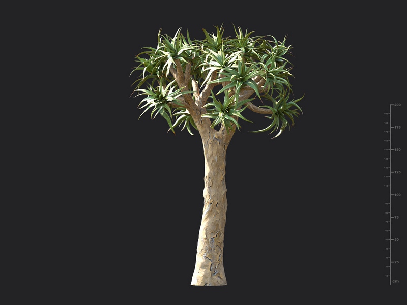 Maxtree - Plant Models Vol.130