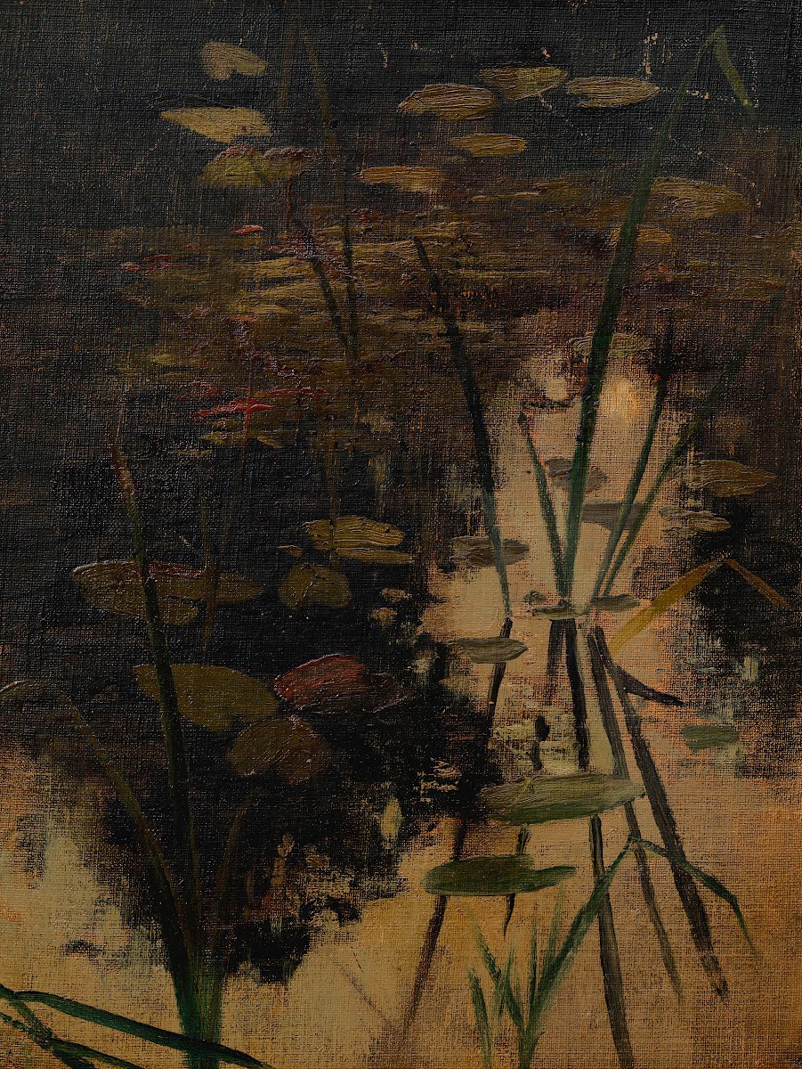 Wasserspiegel eines Teiches mit Pflanzen ca 18801900