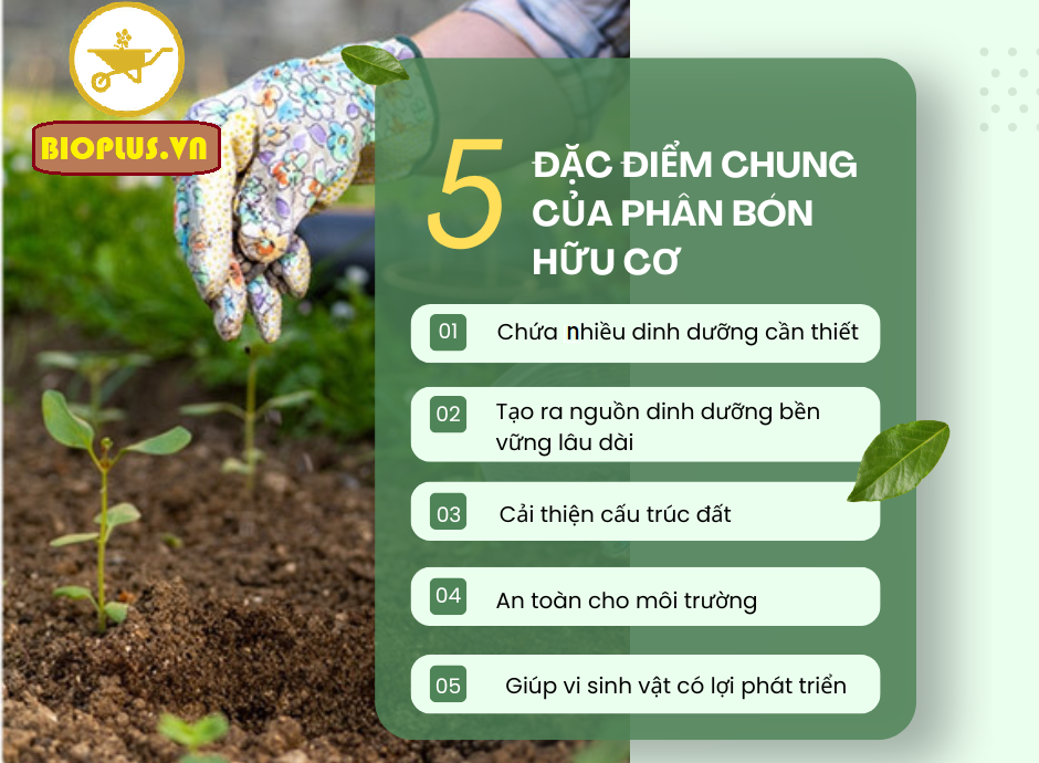 5-dac-diem-chung-cua-phan-bon-huu-co