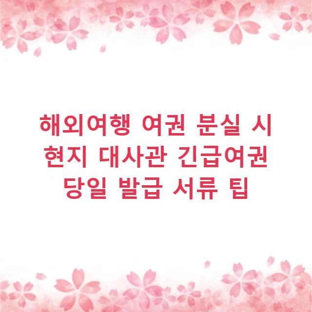 해외여행 여권 분실 시 현지 대사관 긴급여권 당일 발급 서류 팁