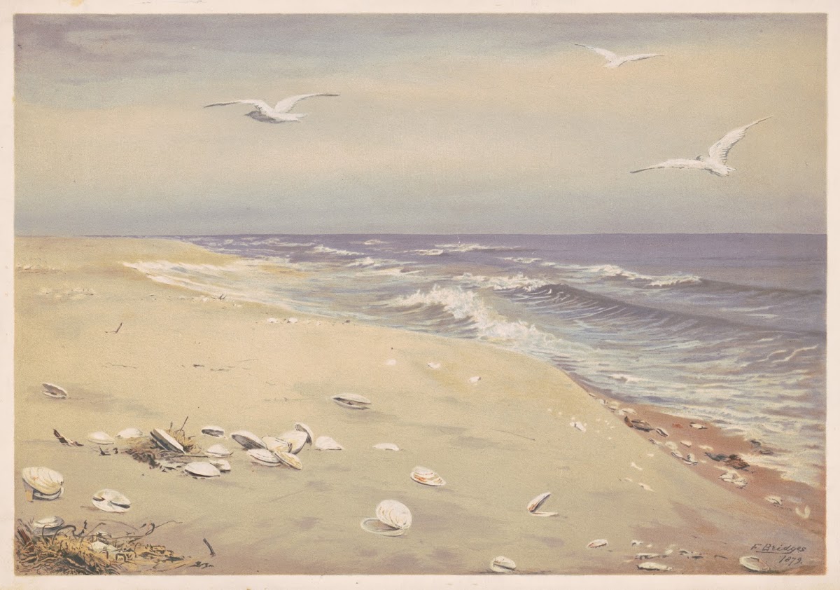 On the beach 1879