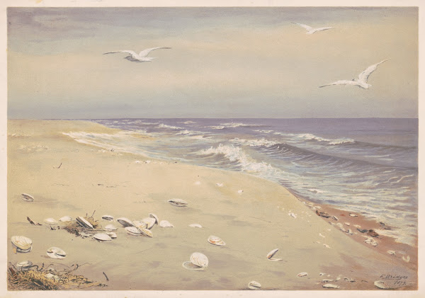 On the beach 1879