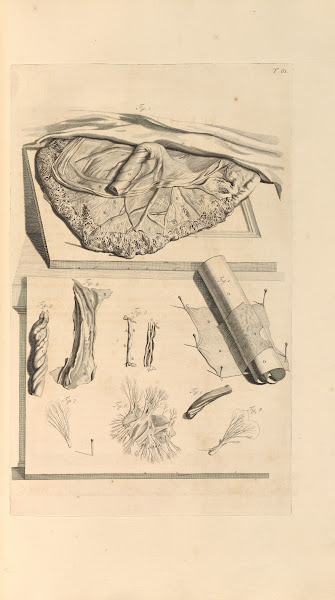 Anatomia humani corporis Pl062 1685