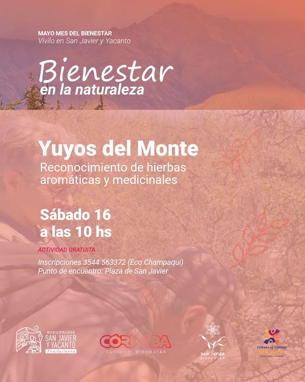 Mes del Bienestar