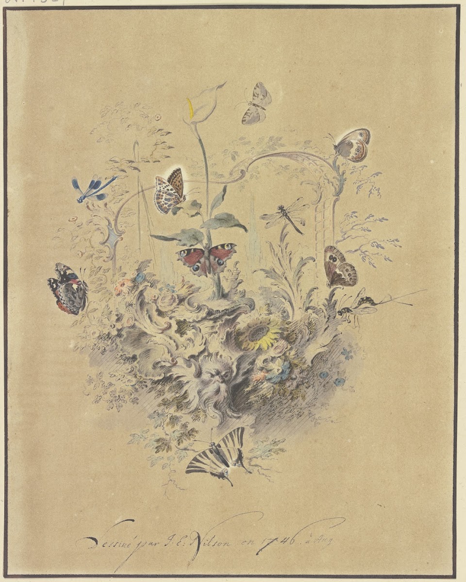 Rocaille Ornament mit einer Kalla und anderen Blumen Schmetterlingen wie Perlmut