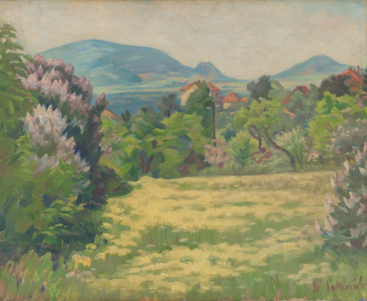 Motif from Karlová Ves 19401942