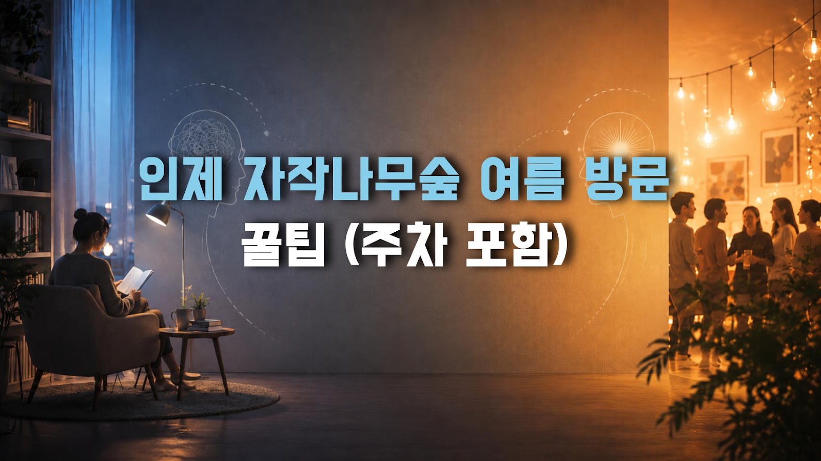 인제 자작나무숲 여름 방문 꿀팁 (주차 포함)