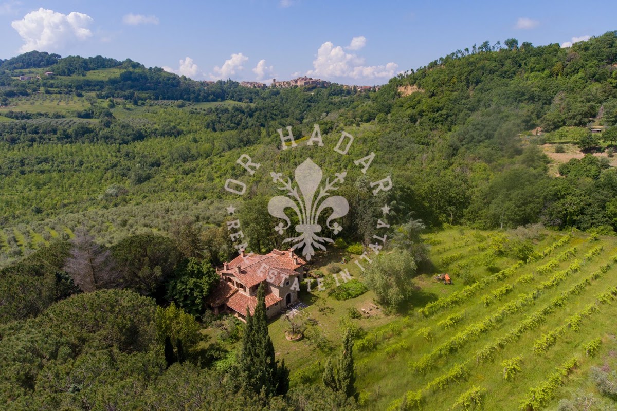 הבית מאחורי הגבעה (Il Casale dietro la Collina) — 14