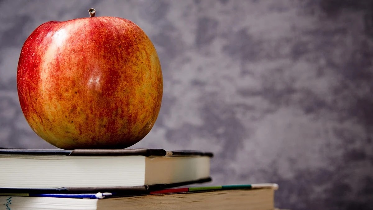 스택과 큐의 내부 구조 및 알고리즘 적용 차이 정리