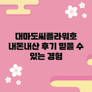 대마도씨플라워호, 내돈내산 후기, 대마도 여행, 씨플라워호 경험, 대마도 추천