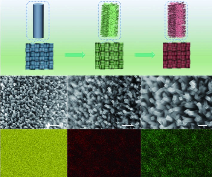 Flexible multifunctional Fe2O3/CC cathode host enables efficient adsorption and catalysis of polysulfides for lithium-sulfur batteries