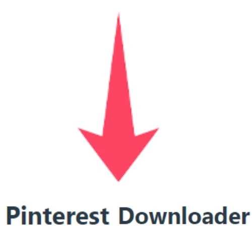 Captura de Pinterest Video Downloader