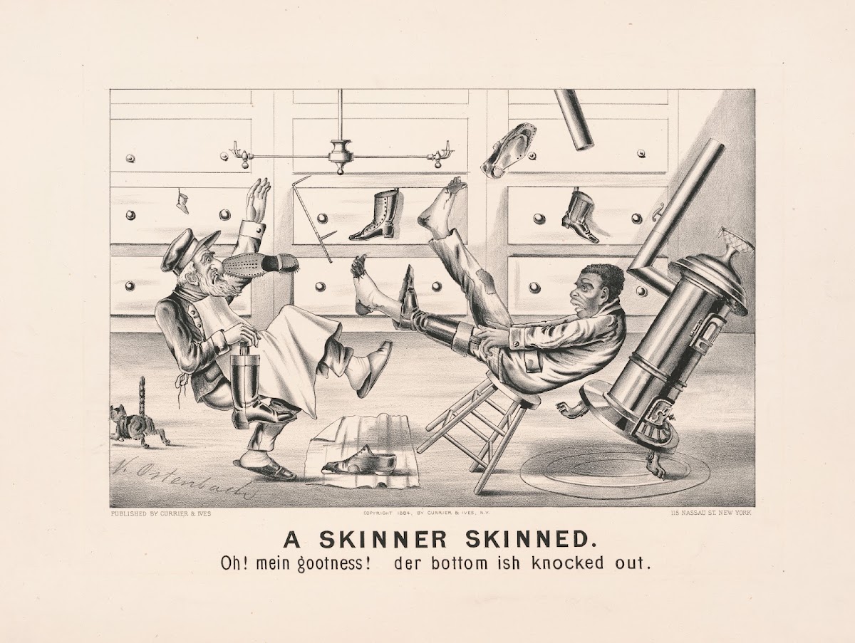A skinner skinned 1884