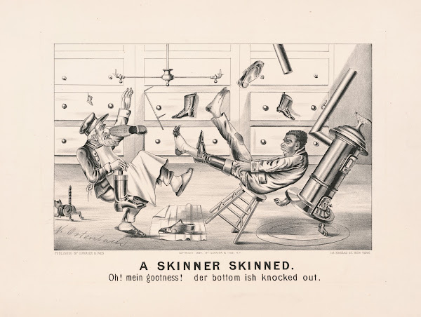 A skinner skinned 1884