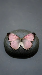 Minimalist Cityscape Silhouette Against Sunset Glow