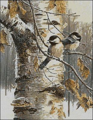 CMP 360115 Titmouse