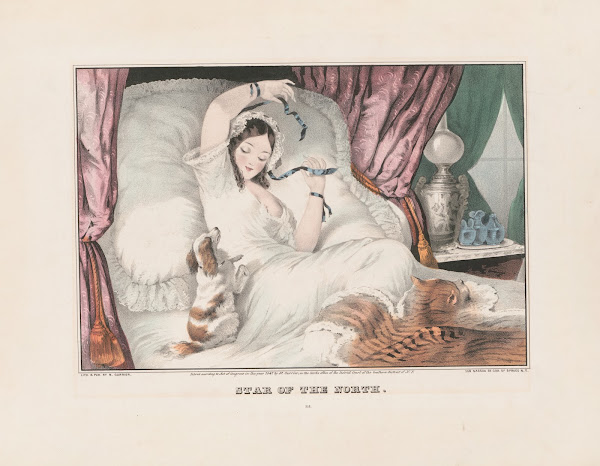 Star of the north 1847