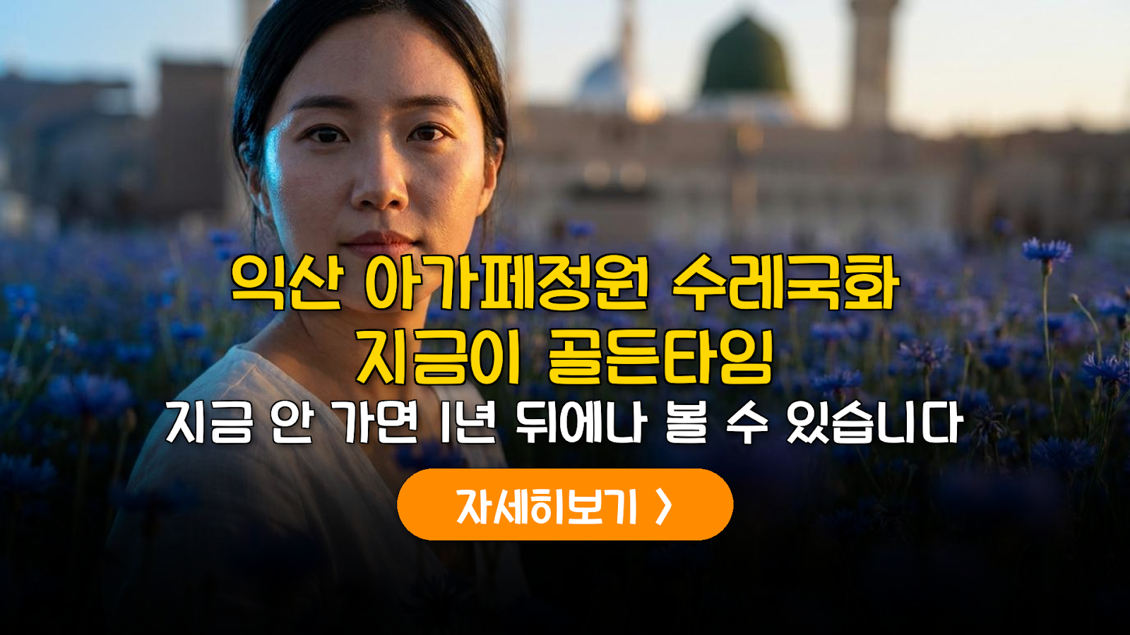2026 익산 아가페정원 수레국화 개화 및 나바위성지 가이드