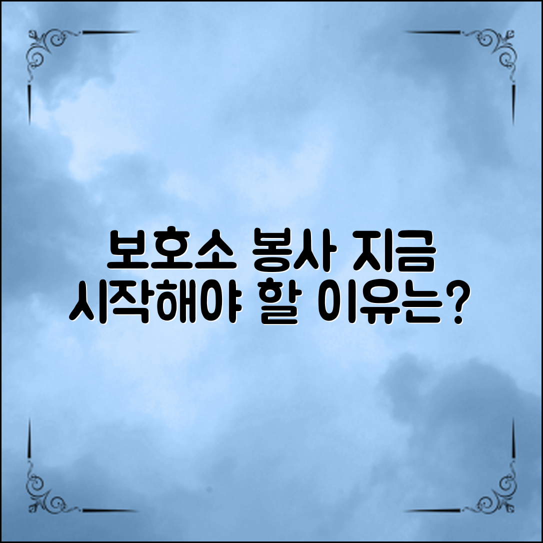보호소 봉사활동 신청, 지금 시작해야 하는 이유는?