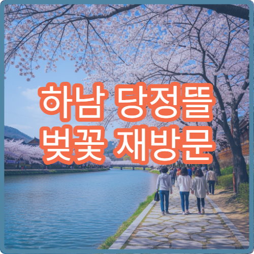 하남 당정뜰 벚꽃 재방문 이유 가족 단위 최적 방문 시기 가이드