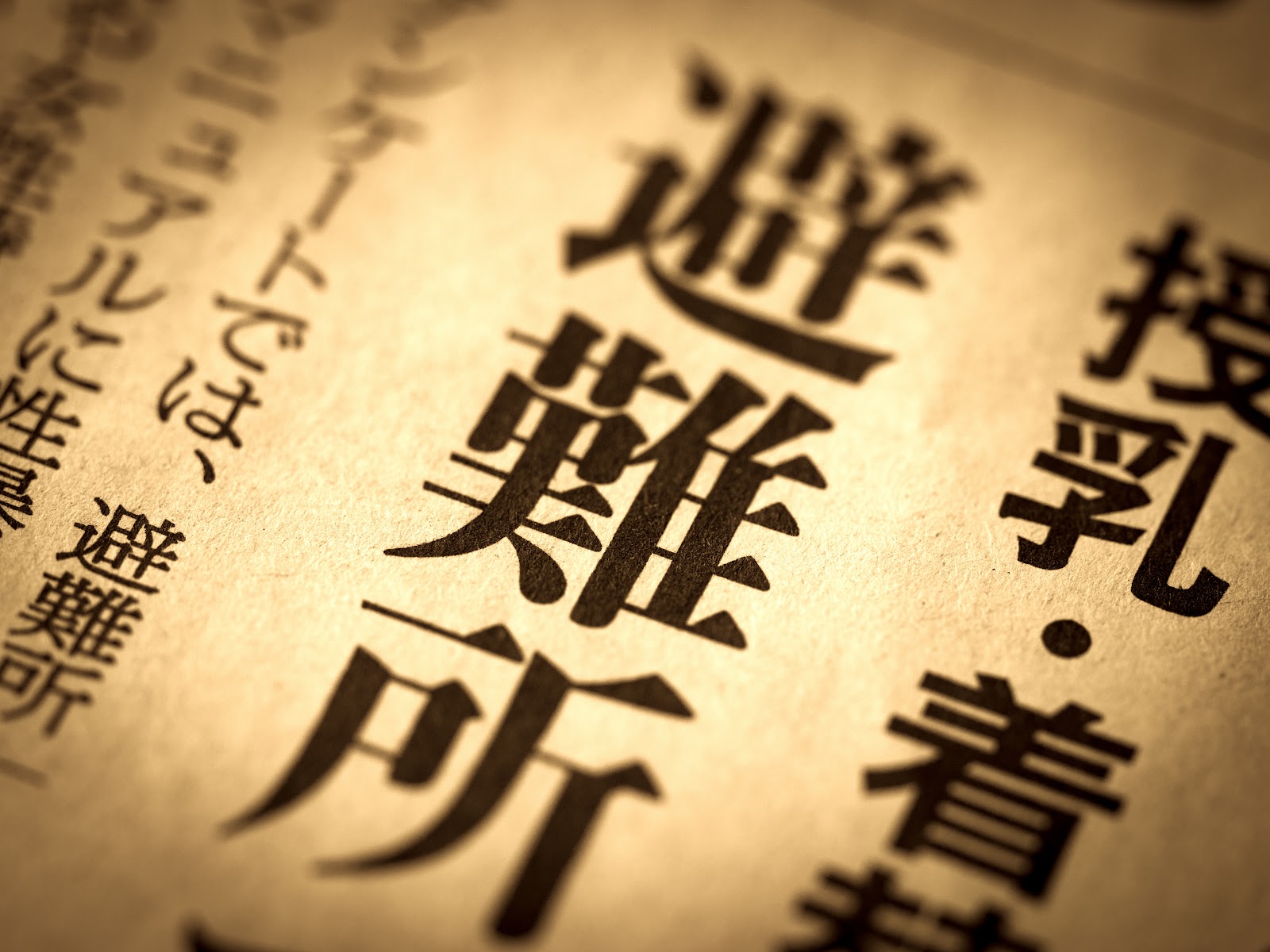 避難所に関する新聞紙面のイメージ