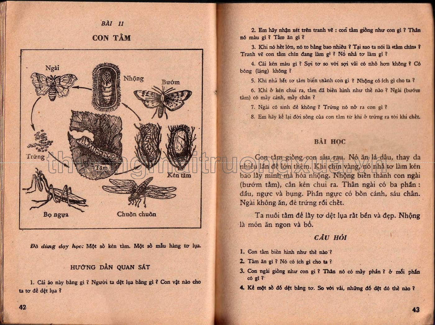 Khoa học thường thức lớp 4 phổ thông (1989) - Trang 22