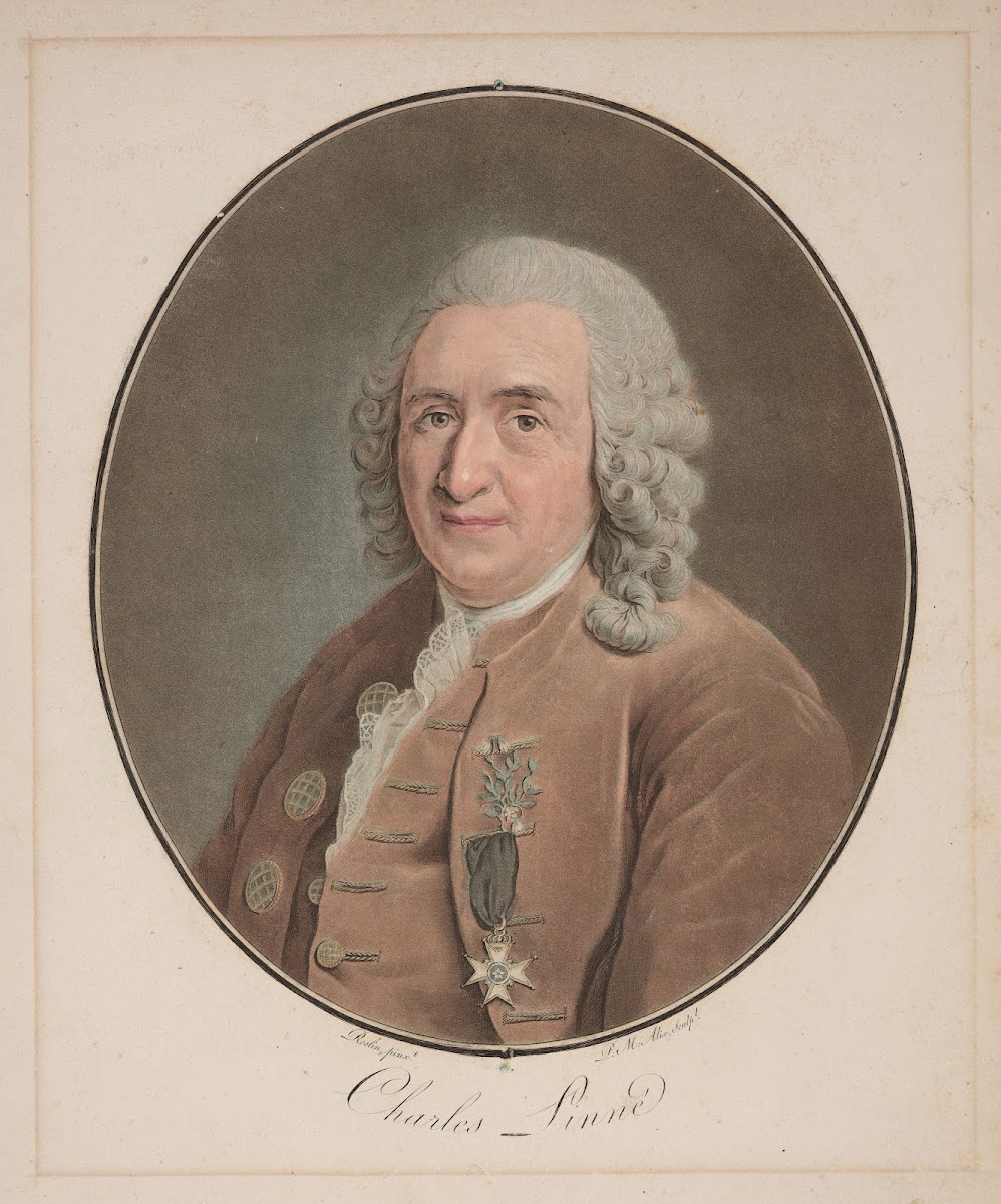 Charles Linne 1790 1797