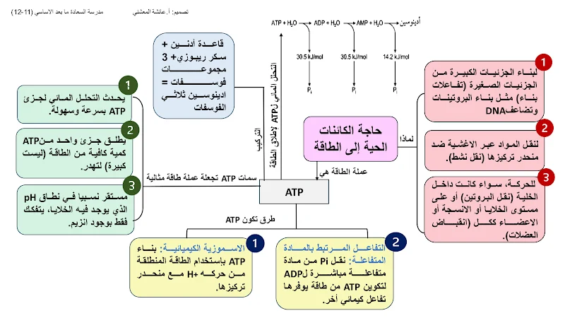 صورة الغلاف