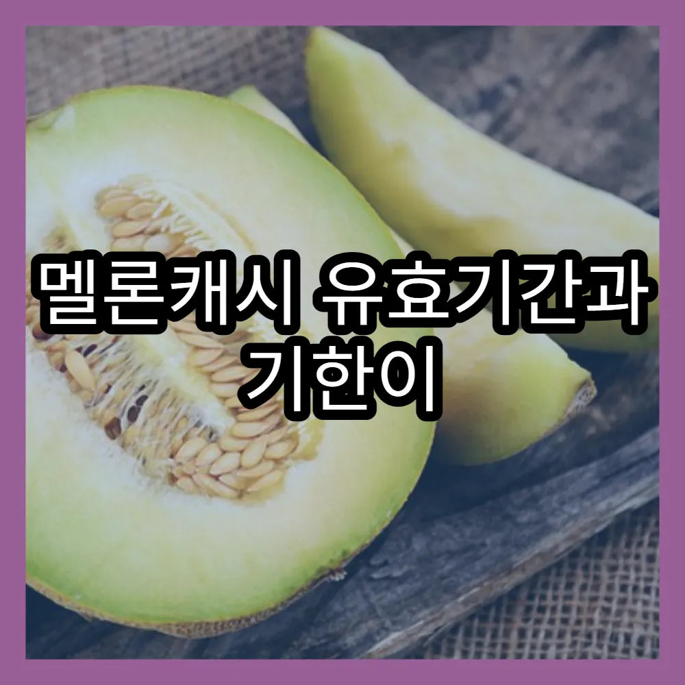 멜론캐시 유효기간과 기한이 중요한 이유