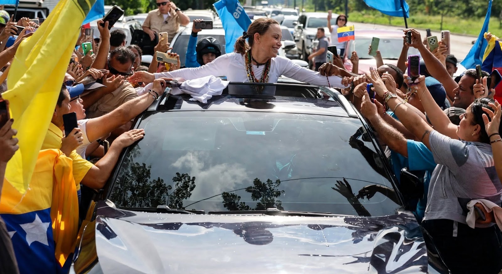 Imagen del artículo