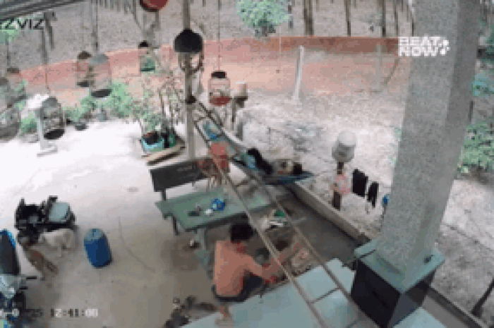Chồng trèo thang bị ngã, màn phản ứng của vợ khiến dân mạng chú ý - Tạp chí SaoStar