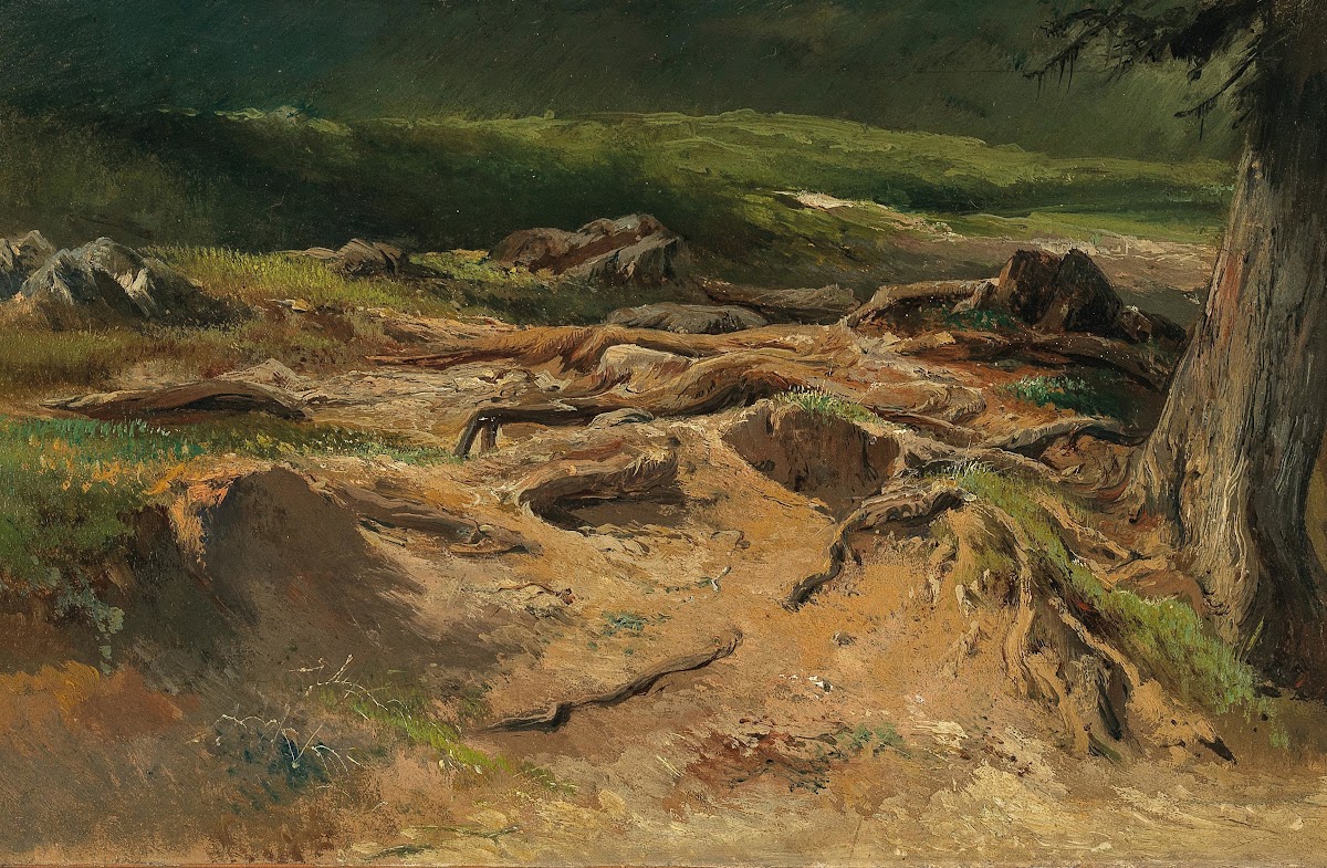 Waldstudie