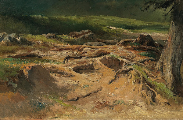 Waldstudie