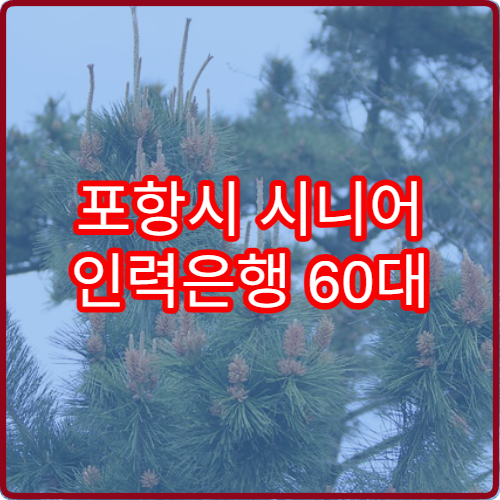 포항시 시니어 인력은행 60대 2026 일자리 등록 방법