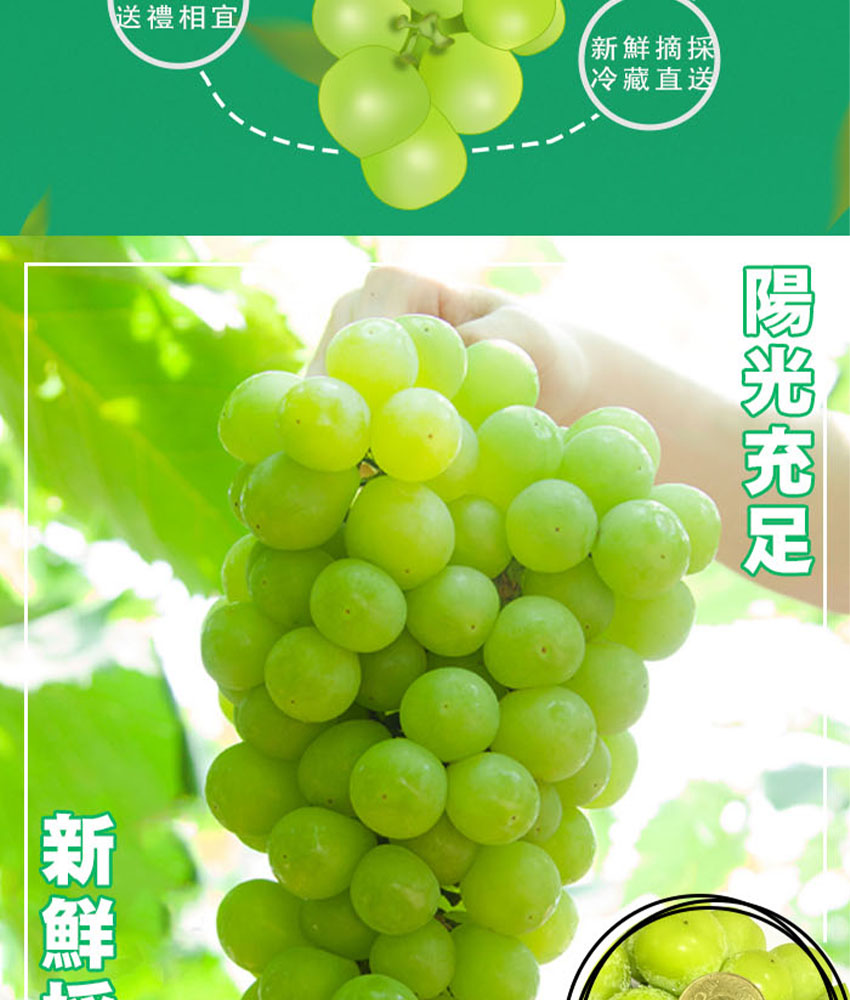 韓國麝香葡萄禮盒 600g&times;2串