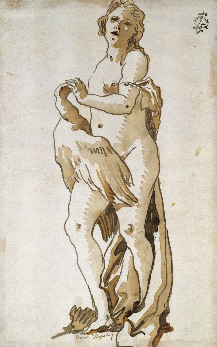 Leda 17471804