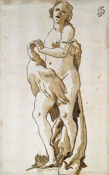 Leda 17471804