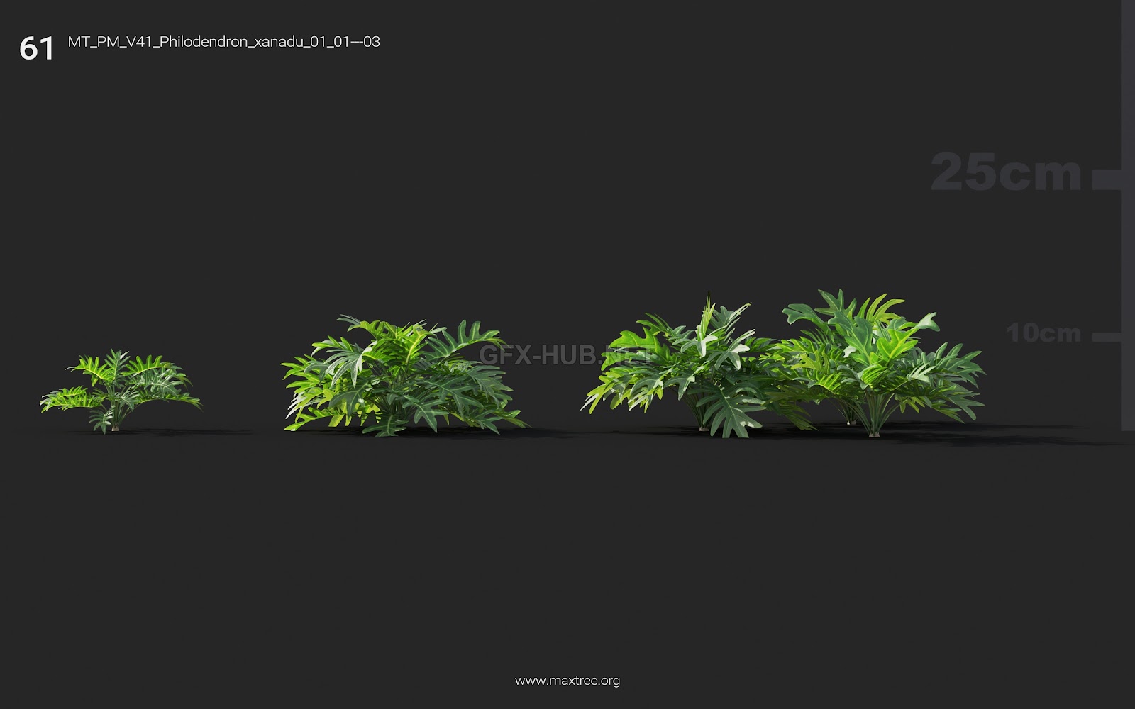 Maxtree - Plant Models Vol.41