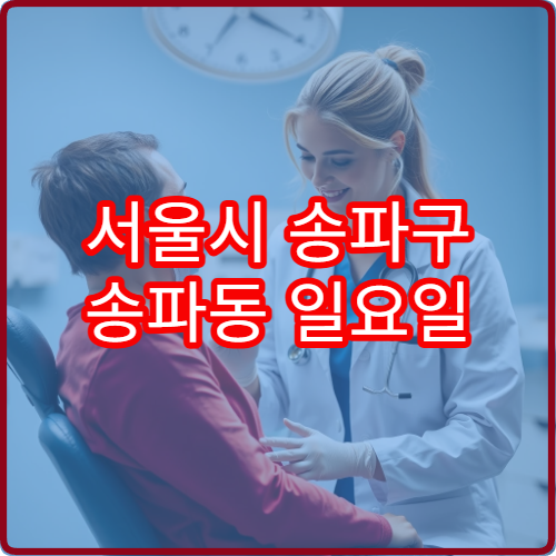 서울시 송파구 송파동 일요일 비뇨의학과 진료 병원 증상 진료