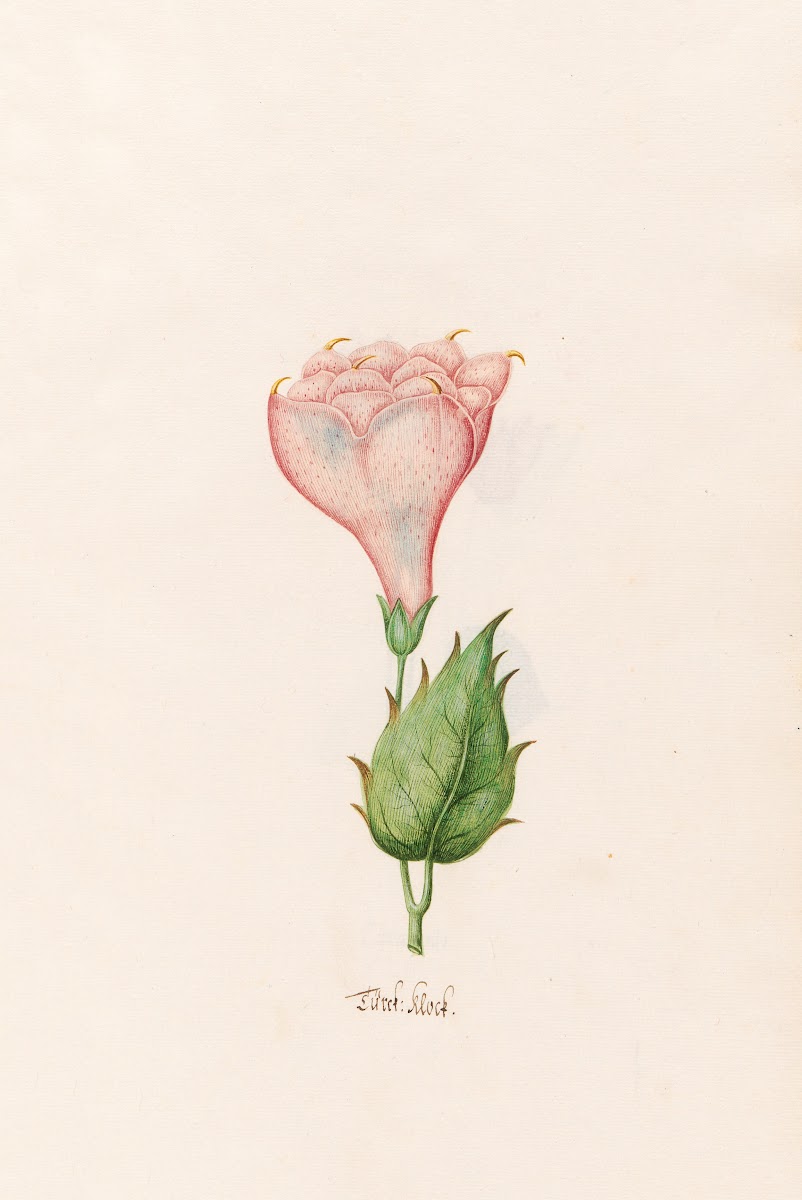 Türck Klock 1692