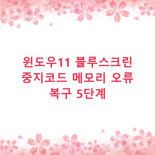 윈도우11 블루스크린 중지코드 메모리 오류 복구 5단계